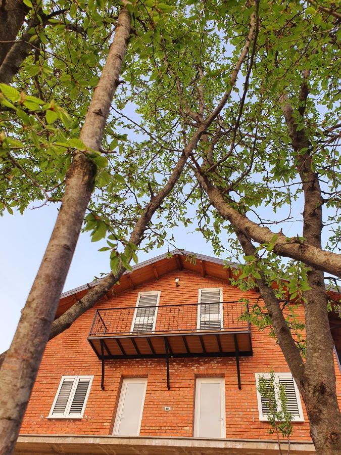 Borealis Guest House Koman Exteriér fotografie